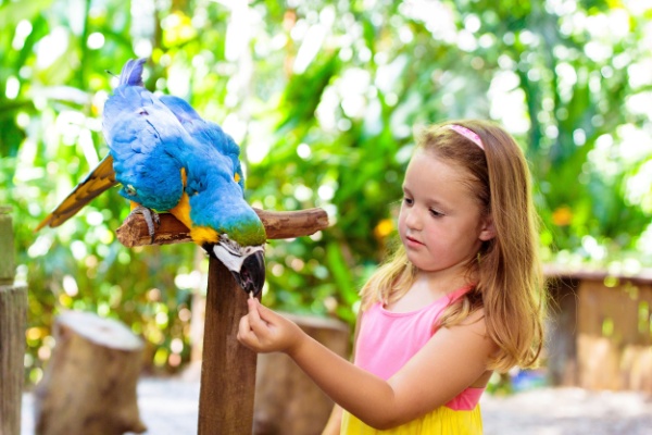 Parcs zoologiques : vers une fin du taux réduit de TVA ?